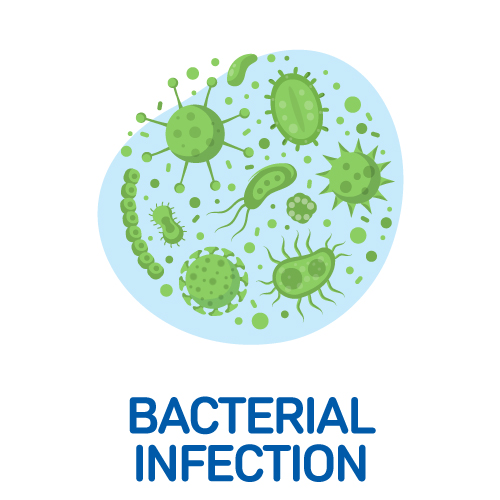 Bacterial Infection