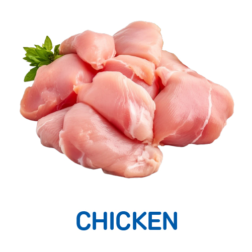 Chicken