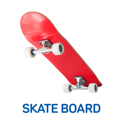 Skate Board