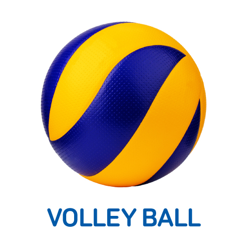 Volley Ball