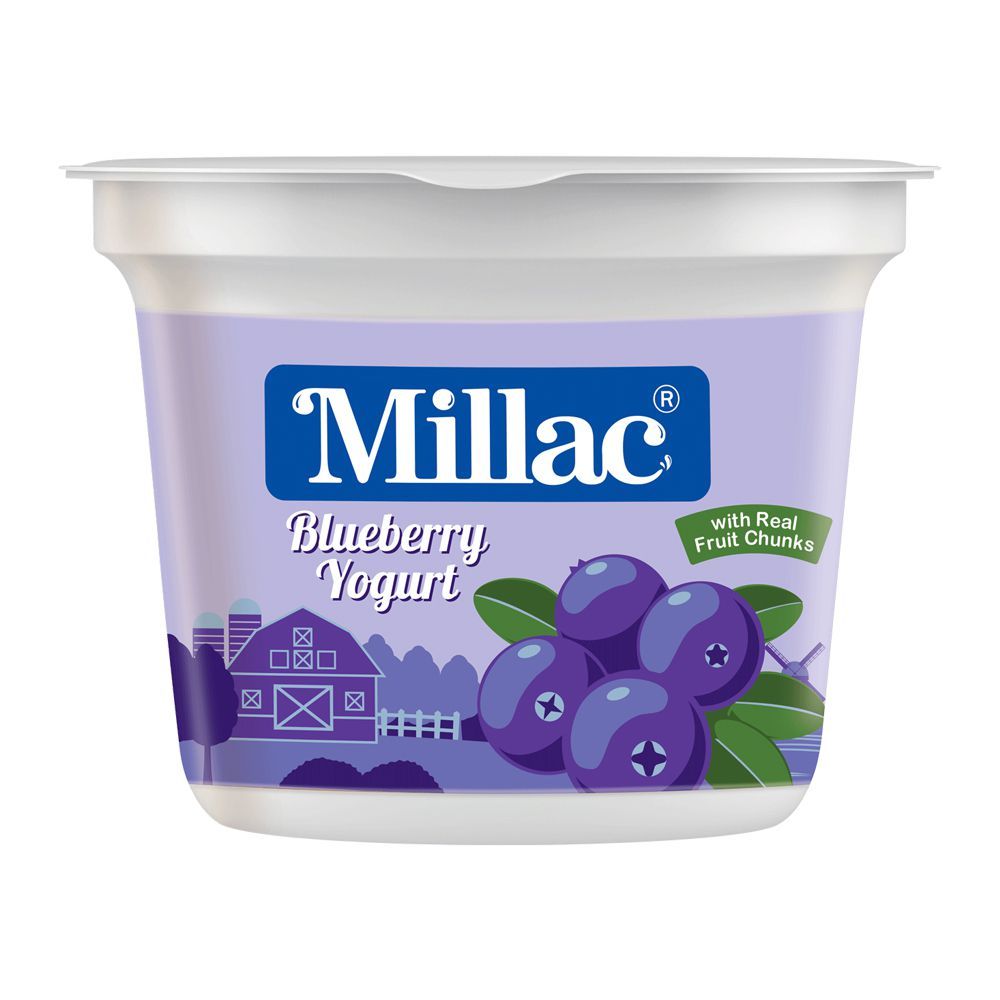 Millac Blueberry Fruit Yogurt, 250g