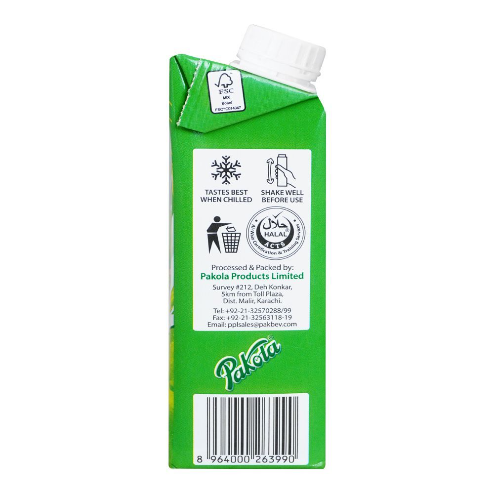 Order Pakola Ice Cream Flavored Milk, 235ml Online at Special Price in ...