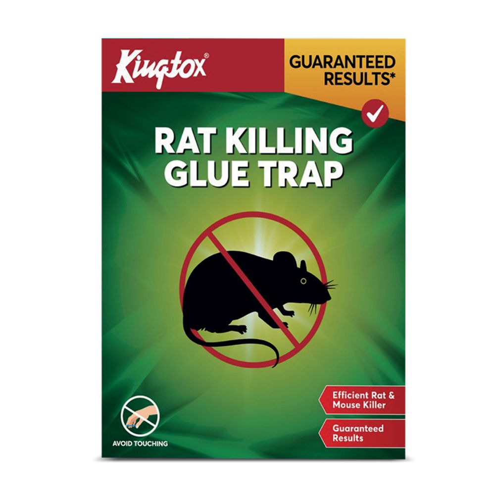 Kingtox Mouse & Rat Killing Glue Trap