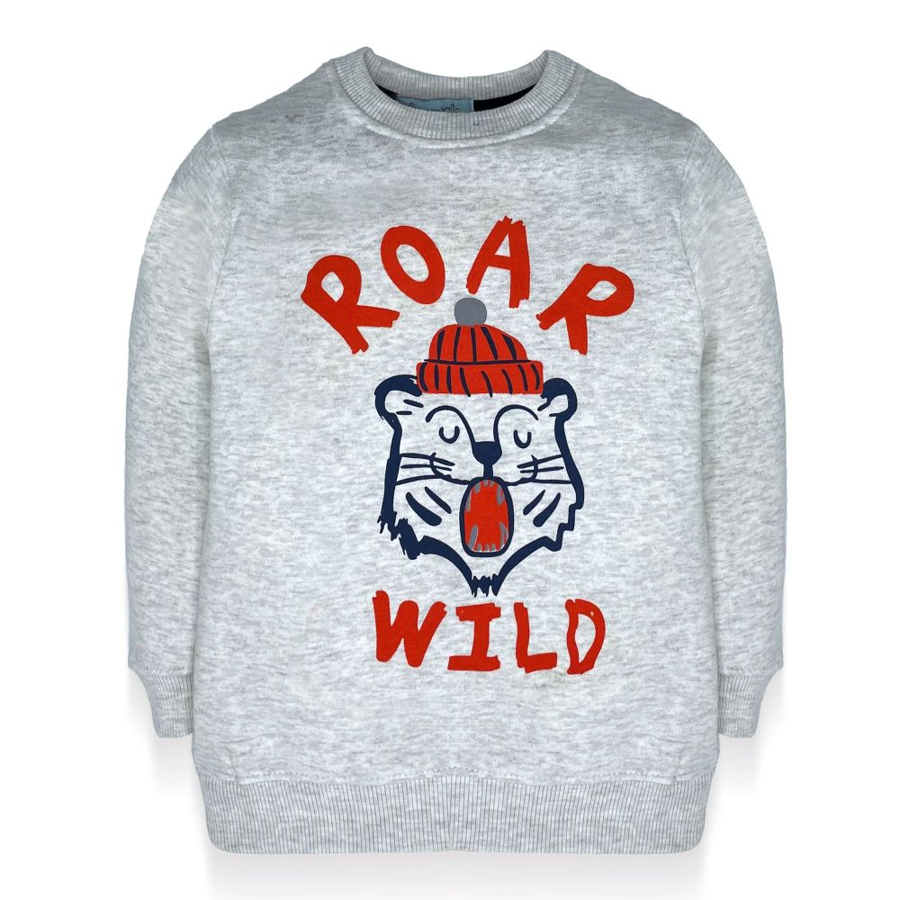 IXAMPLE Boys Oatmeal Roar Wild Sweatshirt, Oatmeal, IXWBSS 650121