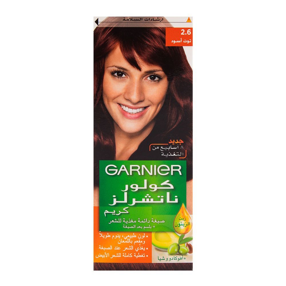 Order Garnier Color Natural Hair Color 2.6 Online at Best Price in