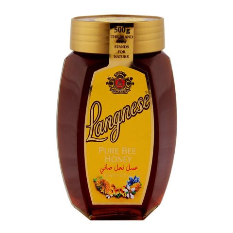 Langnese Honey 500gm