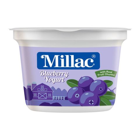 Millac Blueberry Fruit Yogurt, 100g