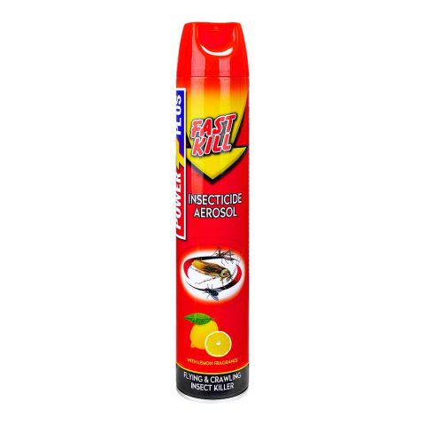 Power Plus Fast Kill Insecticide Aerosol, 600ml