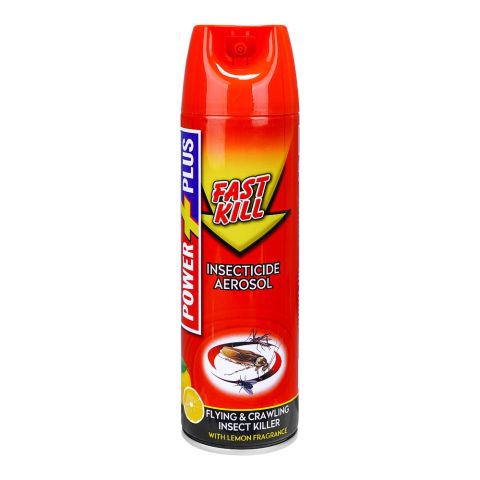 Power Plus Fast Kill Insecticide Aerosol, 500ml