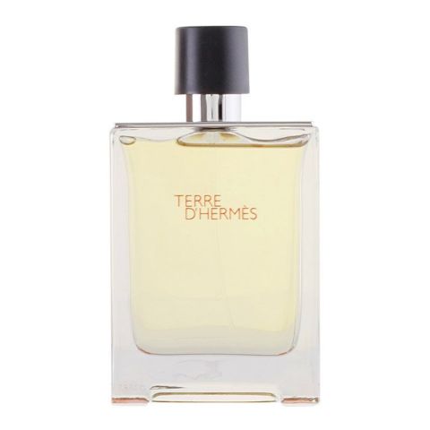 Terre D'Hermes Eau de Toilette 100ml