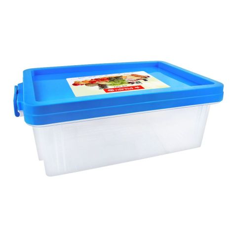 Lion Star Clear Box Multi-Purpose Container, No. 30, Blue, FX-5