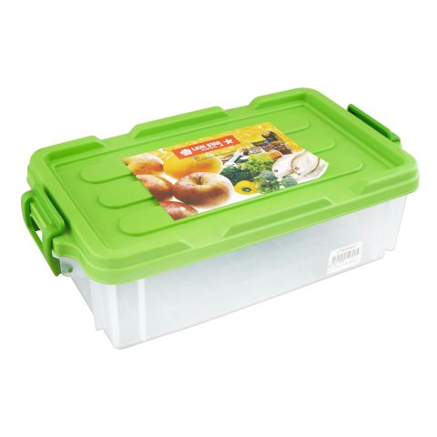 Lion Star Maxstor Storage Container 01, Green, JX-11