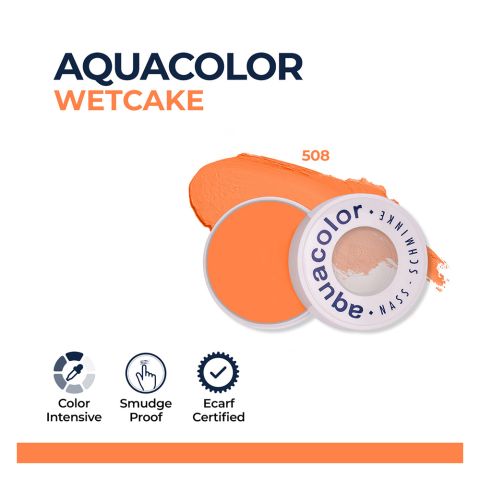 Kryolan Aqua Color Wet Cake Liner, 508, 8ml