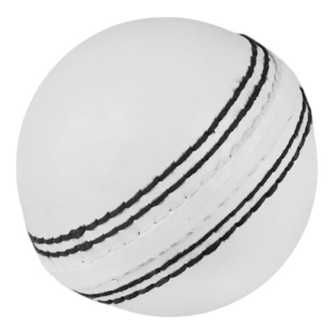 Practice Ball, White