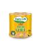 Dairy Life Pure Desi Ghee, 500gm Tin