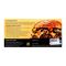 BTB & More Tender & Juicy Beef Burger Patties, 6-Pack