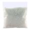 Naheed Khopra (Coconut) Pisa 250g