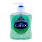 Carex Complete Aloe Vera Antibacterial Hand Wash, 250ml