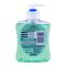 Carex Complete Aloe Vera Antibacterial Hand Wash, 250ml