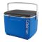 Coleman 16 Quart Cooler, 15 Liter Portable Ice Box for Camping, Drinks & Picnics, Performance, 36082