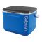 Coleman 16 Quart Cooler, 15 Liter Portable Ice Box for Camping, Drinks & Picnics, Performance, 36082