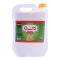 Dalda Canola Oil, Fortified, 16 Litres, Plastic Can