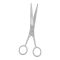 Dar Expo Facial Hair Scissor, 4.5"