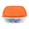 Lion Star Vitto Seal Ware Food Container, Orange, 1500ml, VT-2