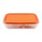 Lion Star Vitto Seal Ware Food Container, Orange, 480ml, VT-4