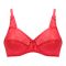 BeBelle Jullia Juvena So-Soft Micro Stripe Bra, Fashion Forever, Red, 1243