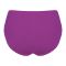 BeBelle Silkie Soft Cotton Women's Brief Panty, Camisoles & Knickers, Purple, 1483