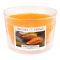 Aroma Home Natural Wax Mango Scented Candle, 115g