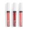 Makeup Revolution Super Matte Liquid Lip Set, Kiss