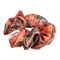 Sandeela Silky Classic Scrunchies, Printed Beige/Green/Beige, 03-02-3001, 3-Pack