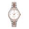 Timex Women's White Round Dial With Two Tone Bracelet Analog Watch, TW2T49200