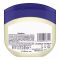 Vaseline Cocoa Butter Moisturizing Petroleum Jelly, Dermatologist Tested, Rich Conditioning, 450ml