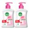 Dettol Skincare Anti-Bacterial Hand Wash, 2 x 250ml, Save Rs.100/-