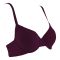 BLS Colo Wired and Padded Cotton Bra, P Purple, BLSAUC911624