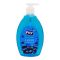 Fay Blue Berry Liquid Hand Wash, 500ml