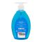 Fay Blue Berry Liquid Hand Wash, 500ml