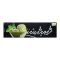 Igloo Temptations Pistachio, 800ml, Soft Pack