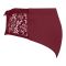 Poppy Everyday Essentials Women's Brief Panty With Side Panel Lace, Maroon, 03