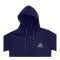 Men's Fleece Tracksuit, Zipper Hoodie and Trouser, Blue, AD