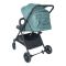 Tinnies Stroller With Reversible Handle, Green, 19.09 x 9.06 x 28.74 Inches, T107