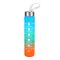 AJF Set of 3 Sports BPA-Free Water Bottles with Time Marker - 2000ml, 800ml & 280ml, Sea Blue