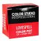 Color Studio Color Pot Lip+Cheek Tint, Love Spell