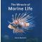 The Miracle Of Marine Life Book