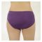 BeBelle Silkie Soft Cotton Women's Brief Panty, Camisoles & Knickers, Purple, 1483