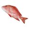 Heera Fish (Red Snapper) 1 KG (Gross Weight)