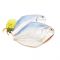 Safaid Paplet Fish (White Pomfret), 1 KG (Gross Weight)